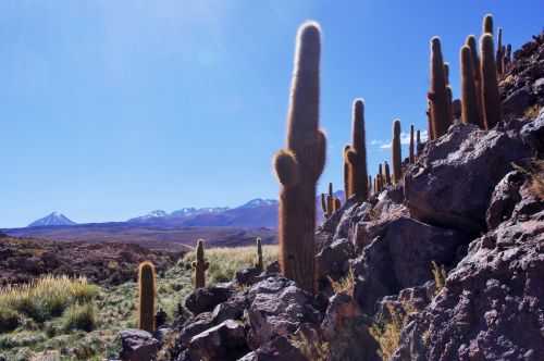 TREKKING NEL DESERTO DI ATACAMA 2015